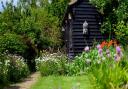 This garden at Silver Birches, Burwell, will be among the gardens open this Sunday for the National Garden Scheme.