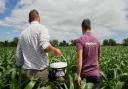 Co-founder Steven Suggitt (left) and general manager Daniel Suggitt (right) with PlantGrow's natural fertiliser soil conditioner.