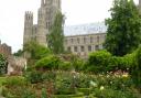 Open Gardens Ely: Bishop of Ely's garden