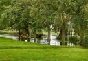 A slightly flooded Hinchingbrooke Park.