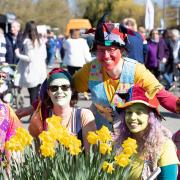 Thriplow Daffodil Festival retruns after two year absence due to Covid, Thriplow, Cambridge Saturday 19 March 2022. Picture by Terry Harris.