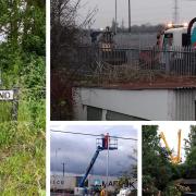 Ely Standard reader Donna Martin sent us this selection of photos (she is on the left) showing the view from her home and garden in Soham, next to the rail station.