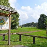 The council aims to plant the two new mazes in Ely Country Park as part of the next planting schedule in winter 2021. Picture- Supplied