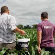 Co-founder Steven Suggitt (left) and general manager Daniel Suggitt (right) with PlantGrow's natural fertiliser soil conditioner.