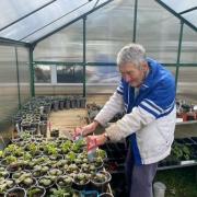 Cottenham Court Bupa Care Home have treated resident Richard Gregory to a new greenhouse.