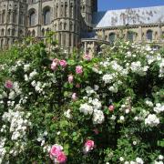 One of the Ely gardens that opened to the public on June 4.