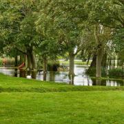 A slightly flooded Hinchingbrooke Park.