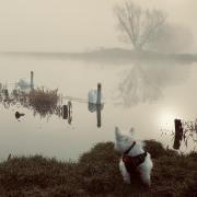 Lt Col Alex Mellman took his photo at the River Ouse in Ely, along the cow path, at sunrise.