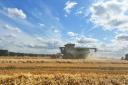 Cutting-edge farm technology and science innovations will be discussed at the 2024 REAP Conference in Newmarket on November 6