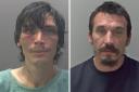 Joseph Lamb, 34, and Fred Lamb, 42, have been served interim slavery and trafficking risk orders (STROs).