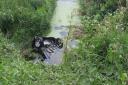 The car flipped into a water-filled ditch in Littleport.