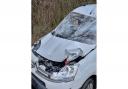 The van after it was smashed by a tree in Elveden, north Suffolk