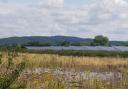 'This is a deeply unsatisfactory and unsuitable application' was how one senior councillor summed up proposals for giant solar energy farm straddling West Suffolk and Cambridgeshire.