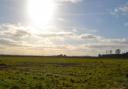 One of the projects being highlighted at COP26 in Glasgow is the restoration on the Great Fen in Cambridgeshire.