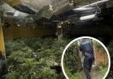 Police carried out warrant at the Wicken cannabis farm last month.