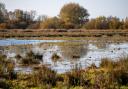 Rangers at the nature reserve have turned on the taps across the site to create a winter wetland habitat for wildfowl on the low-lying land.