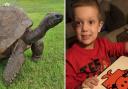 Just George was set up last September by Lisa and David Radcliffe, the parents of Isleham boy George (pictured left), as they entered his end-of-life care. Jonathan the tortoise (right) holds the Guinness World Record for the oldest living land