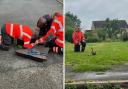 The ducklings were rescued from the manhole.