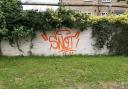 The 'Snot' graffiti has been appearing across Ely.