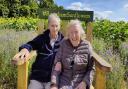 Memories bloom for elderly couple at local sunflower farm