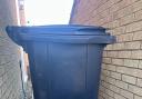 Plans for black wheelie bins and a weekly food waste collection are to go before East Cambridgeshire councillors.