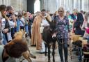 Marley the donkey will lead the annual procession of animals and charity workers! 