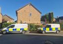 Initial tests carried out on DNA from a human bone found in a garden in John Amner Close, Ely, have confirmed its gender.