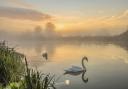 Veronica in The Fens sent in this beautiful image taken at the river in Ely.