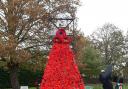 A stunning poppy cascade has been created by members of the Stretham Women's Institute.