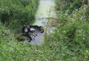 The car flipped into a water-filled ditch in Littleport.