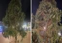 Ely residents were left stunned when the bauble-less tree appeared in Market Place this week.