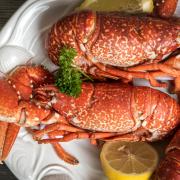 The Alma Inn and Dining Rooms serves locally sourced food seven days a week including fresh lobster, fish and artisan sausages