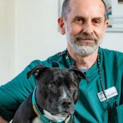 Rescue pup Eric with Giuseppe Palatucci, the vet who saved his life.