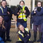 Bamboo and her seven puppies were rescued and looked after by RSPCA Block Fen Animal Centre in Wimblington before finding new homes.