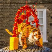 A secret yarn bomber has marked Chinese New Year in Ely by creating a knitted Tiger.