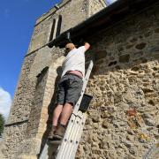 'Bee hover' removes hive from Withcford Church without harming them