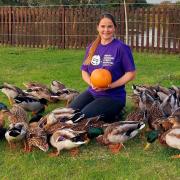 Rebecca at Vision Learning Therapeutic Farm