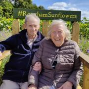 Memories bloom for elderly couple at local sunflower farm