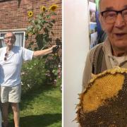 Jaroslaw and Norah Czarnobaj at home in Ely with their sunflowers.