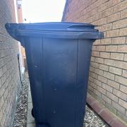 Plans for black wheelie bins and a weekly food waste collection are to go before East Cambridgeshire councillors.