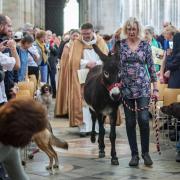 Marley the donkey will lead the annual procession of animals and charity workers! 