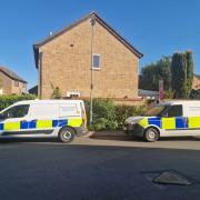 Initial tests carried out on DNA from a human bone found in a garden in John Amner Close, Ely, have confirmed its gender.