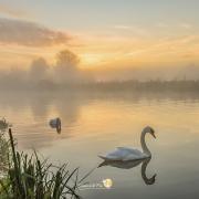 Veronica in The Fens sent in this beautiful image taken at the river in Ely.