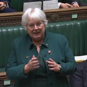 Ms Cane delivered her maiden speech in the House of Commons chamber on November 6.