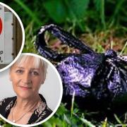 Councillor Julia Huffer said people leaving dog waste behind was a serious issue in East Cambridgeshire.