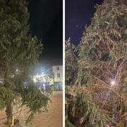 Ely residents were left stunned when the bauble-less tree appeared in Market Place this week.