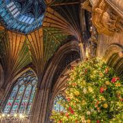 The Christmas tree switched on inside Ely Cathedral last year