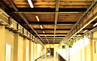 Part of the roof of the Queen Elizabeth Hospital which is held up with steel and timber supports