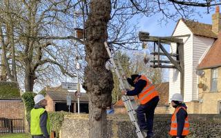 Volunteers joined Cllr Tony Chouler to put up bird boxes and a bug hotel at St Andrew’s Church, Soham