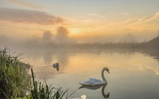 Veronica in The Fens sent in this beautiful image taken at the river in Ely.